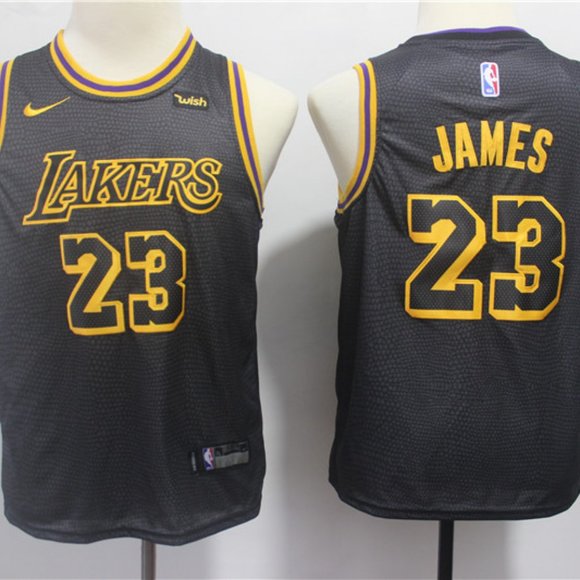 youth lebron james jersey lakers